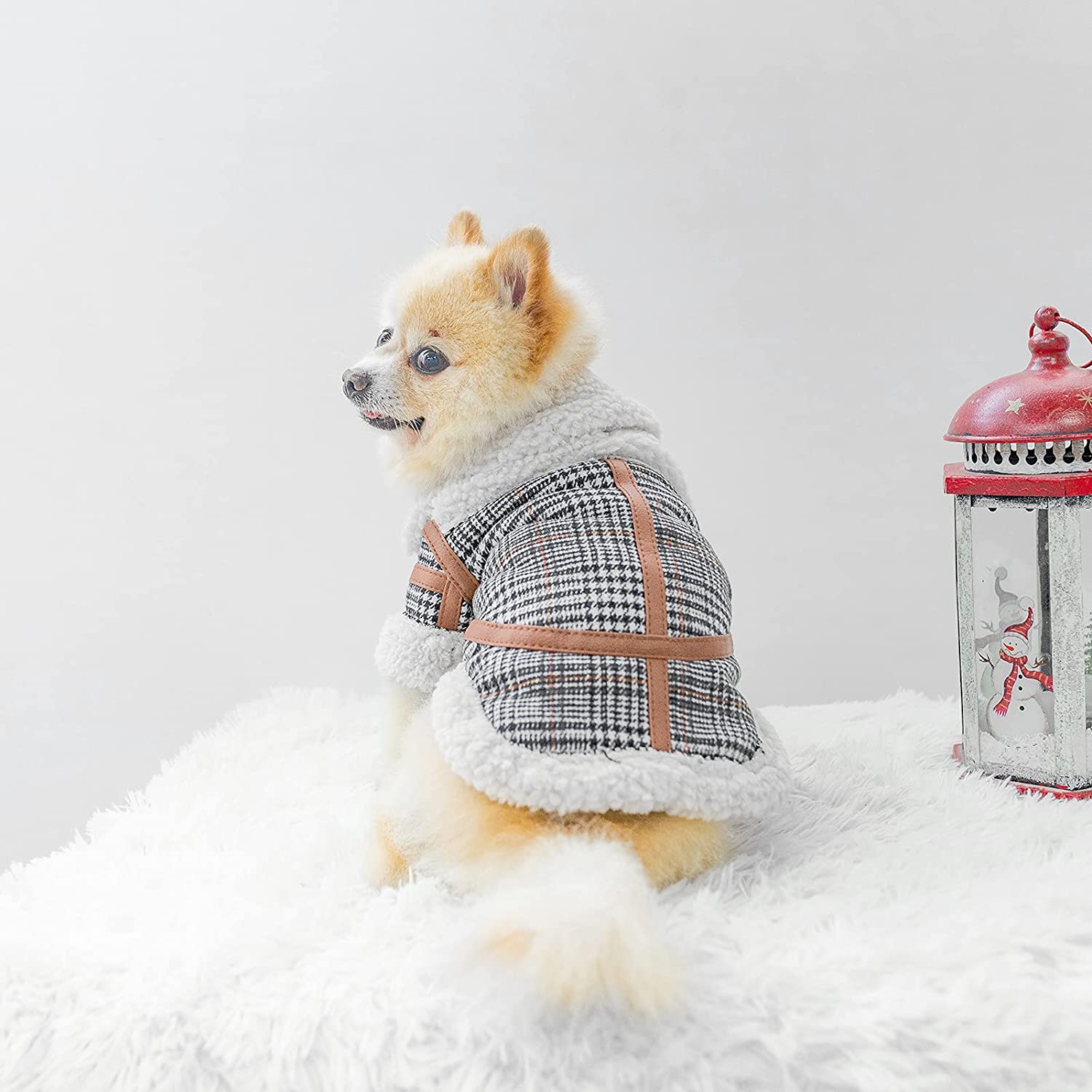 Pet Two Legged Clothes Autumn And Winter Plaid Warm Lamb Velvet
