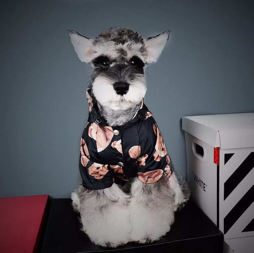 Net Red Puppy Autumn And Winter Raincoat