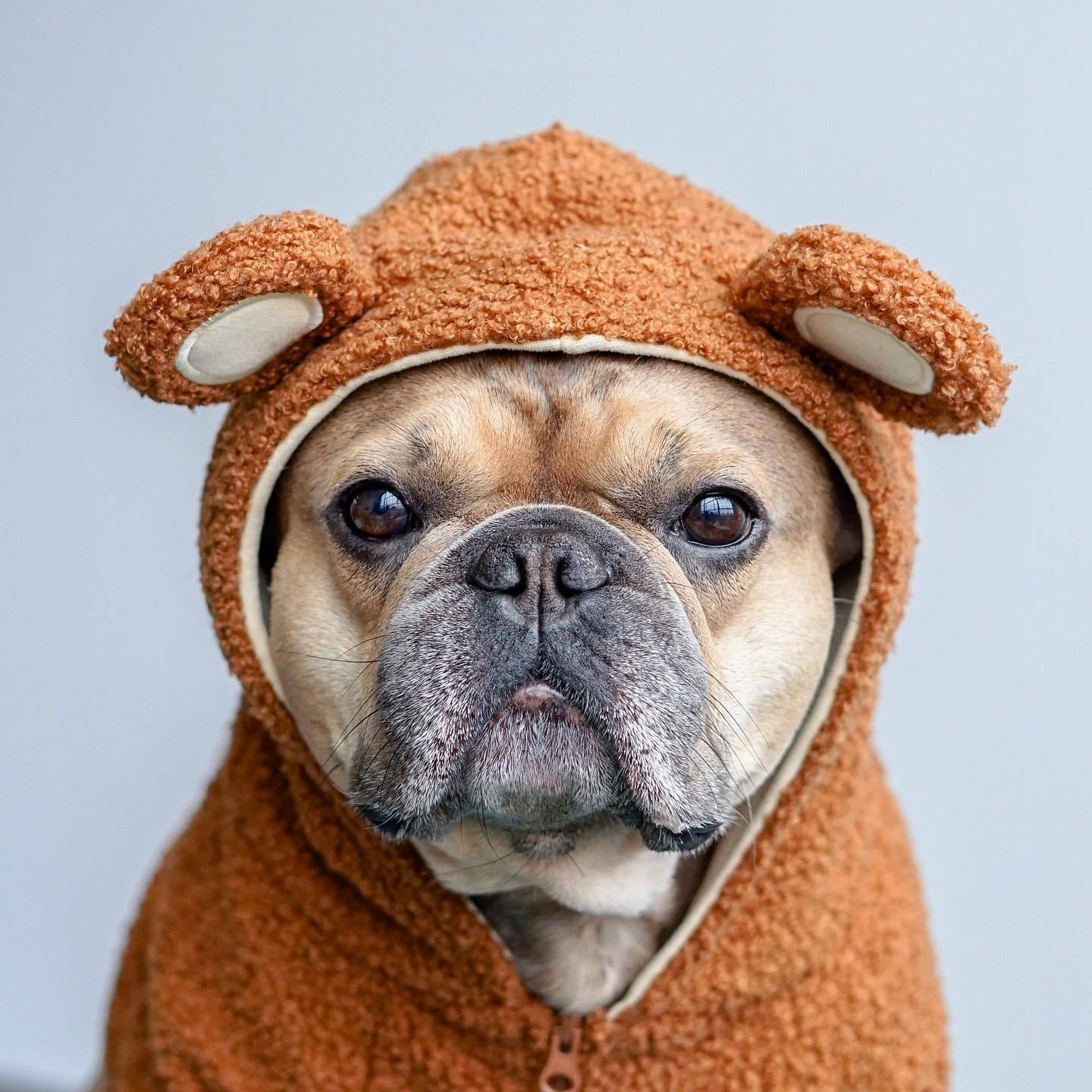 Pet Fashion Brand Fleece-lined Warm Ear-standing Sweater