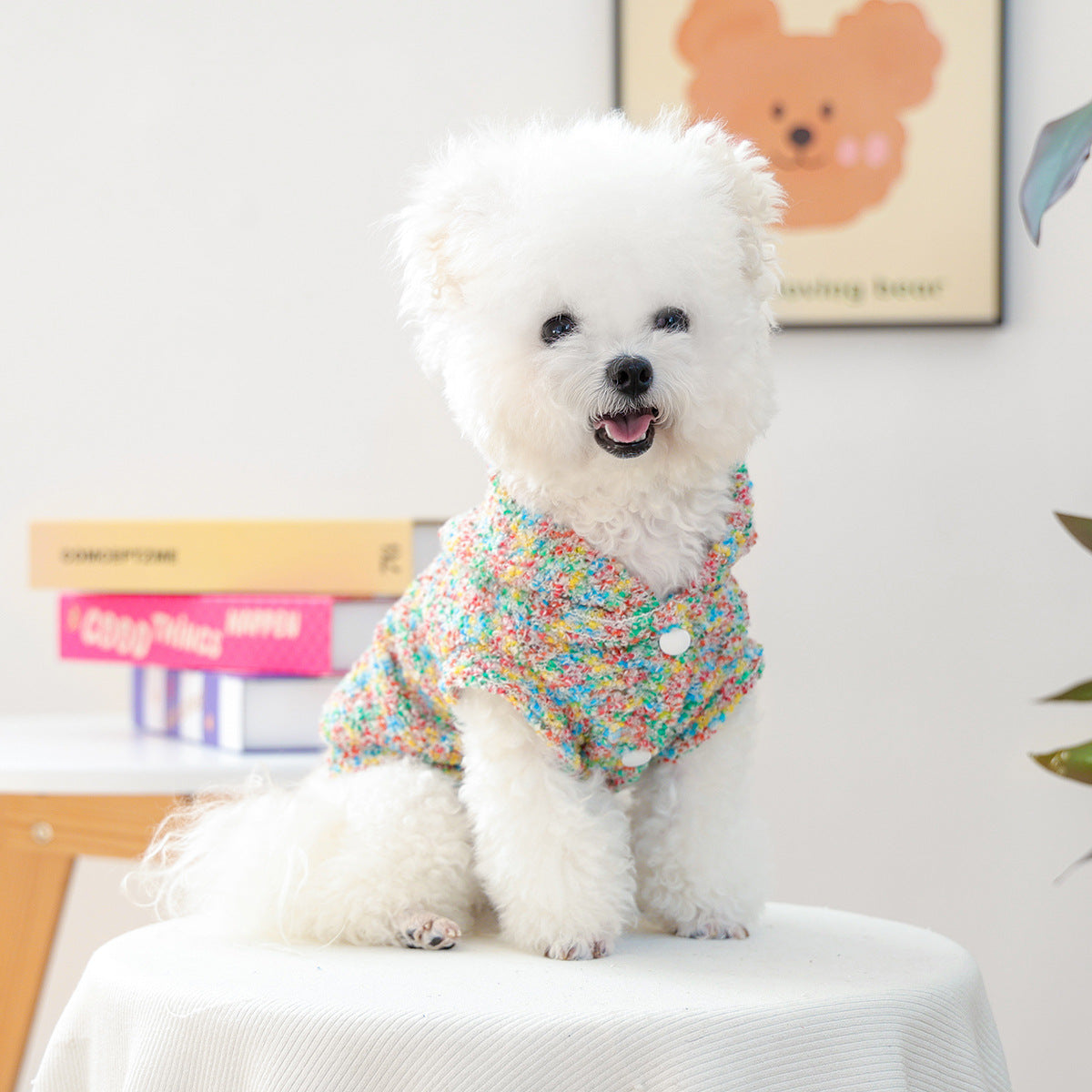 Pet Small Puppy Happy Dog Cat Colorful Candy Hoodie