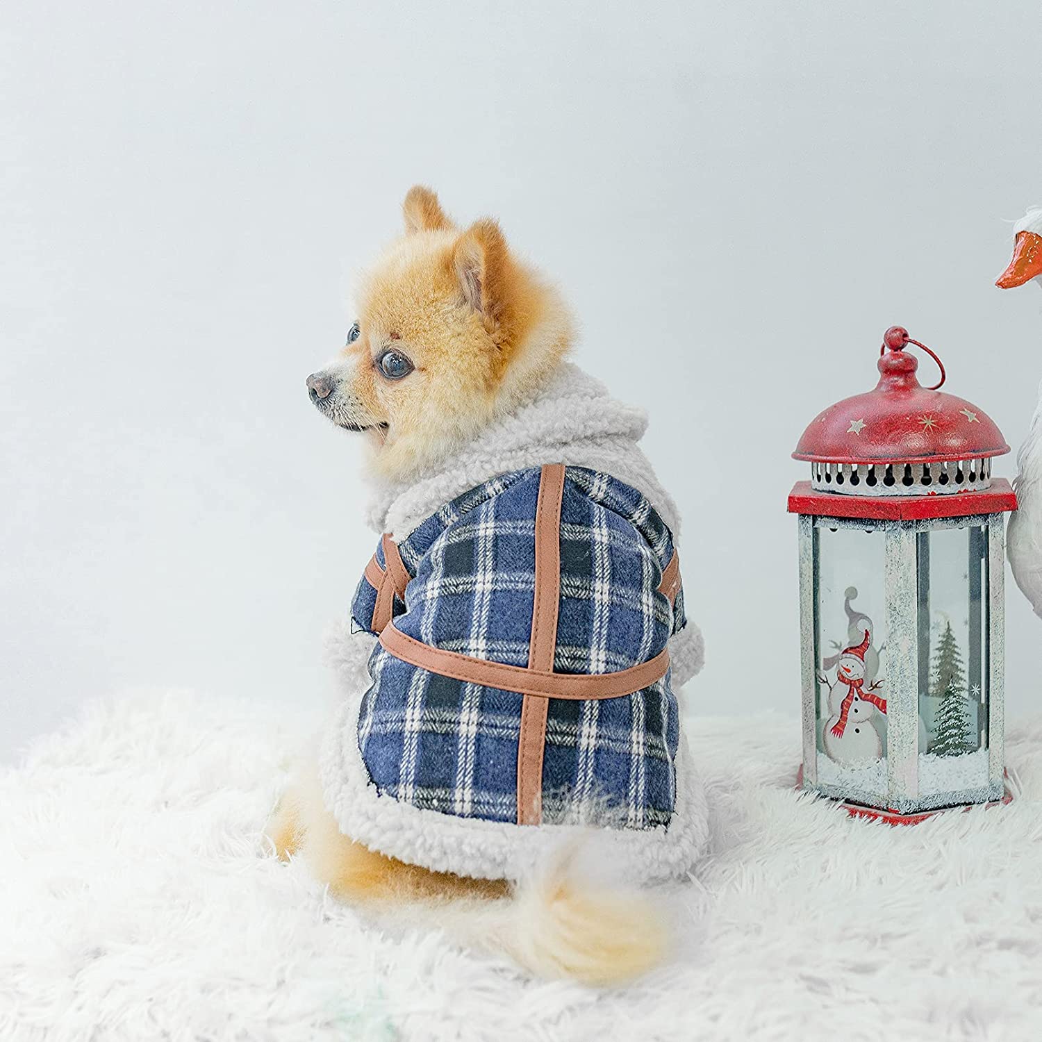 Pet Two Legged Clothes Autumn And Winter Plaid Warm Lamb Velvet