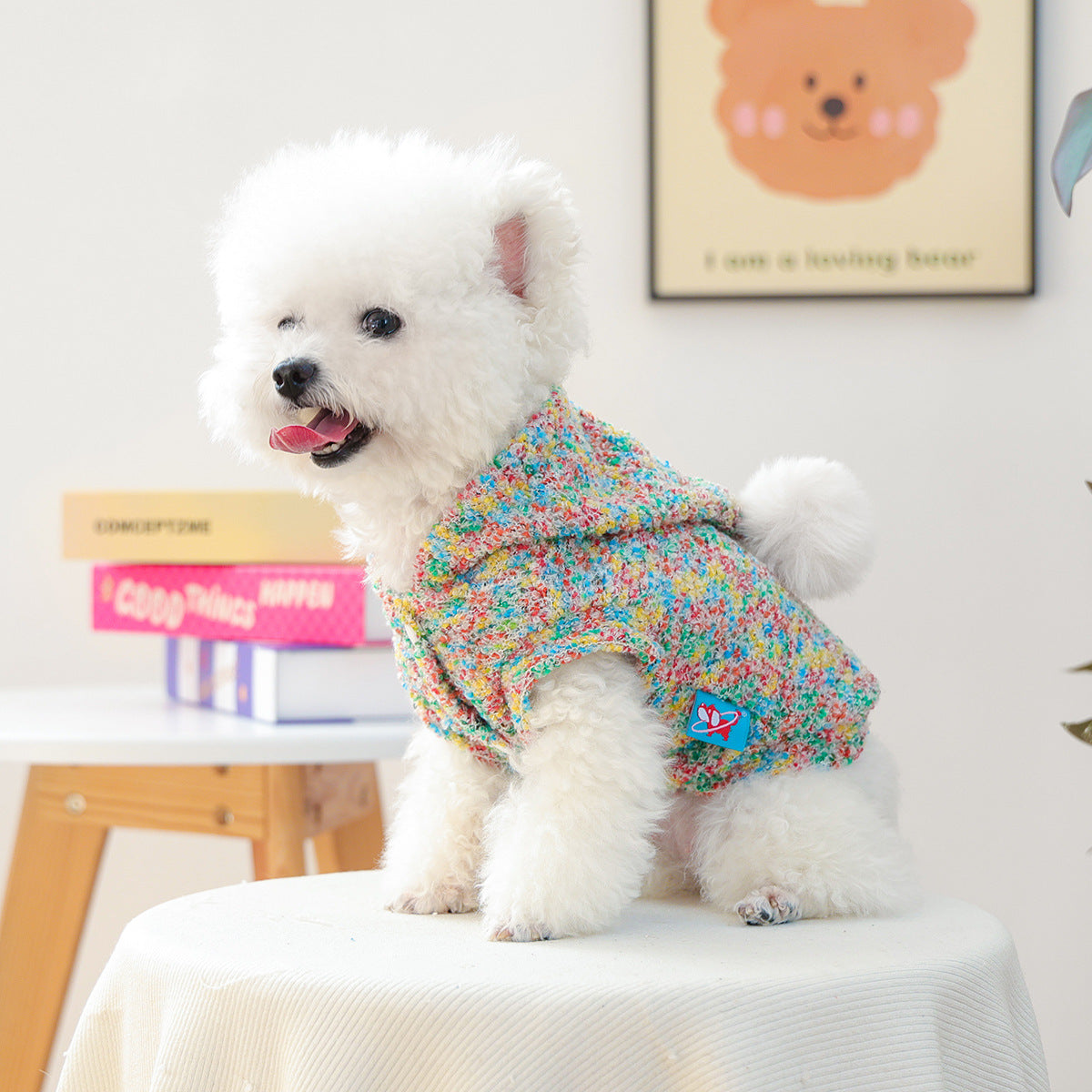 Pet Small Puppy Happy Dog Cat Colorful Candy Hoodie