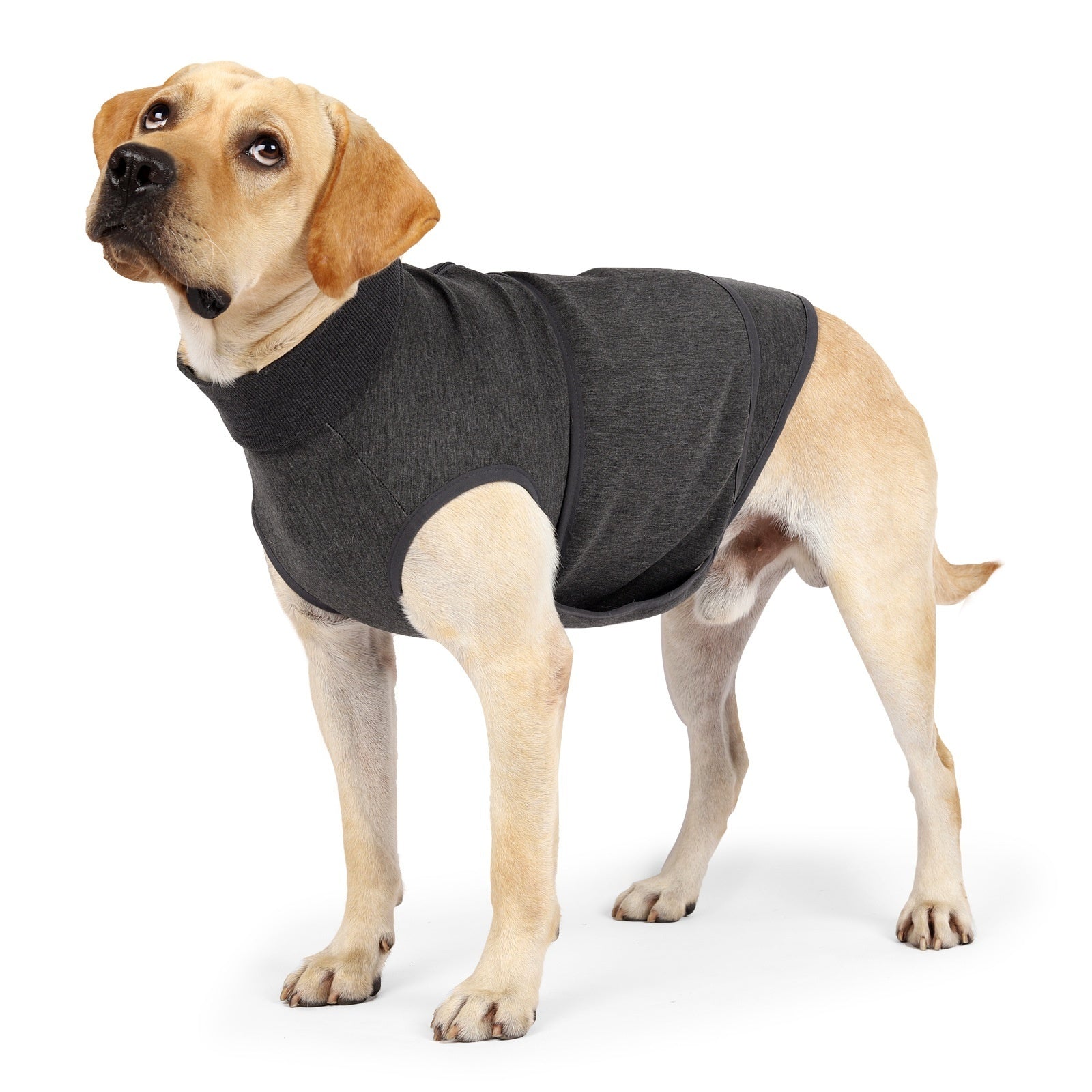 Soothing Clothes Anti-scare Pet Mood Soothing Clothes