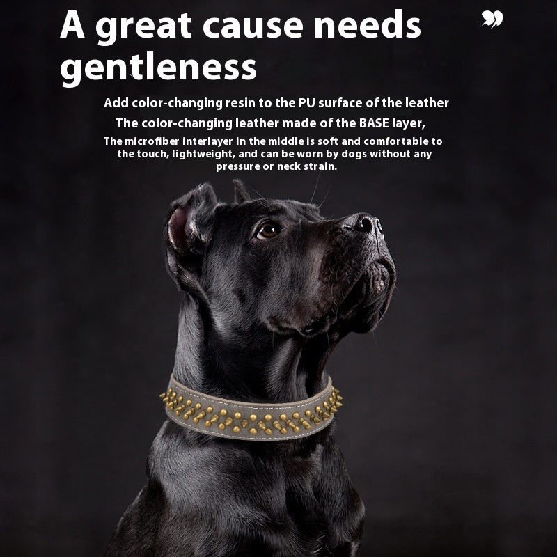 Rivets Medium And Large Leather Pet Collar
